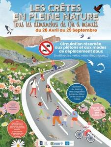 The Route des Crêtes in the heart of nature