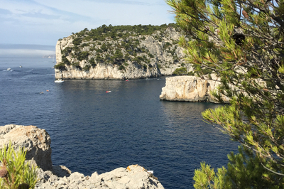Creek Port Pin Cassis Creek Port Pin Cassis