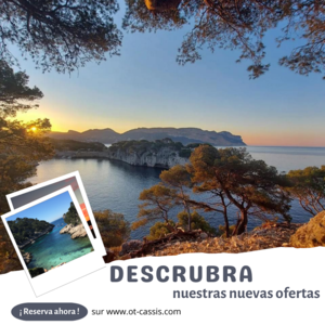 Reserve sus actividades y eventos