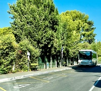 IMG E8303 IMG E8303