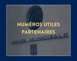 services-num-util-fr