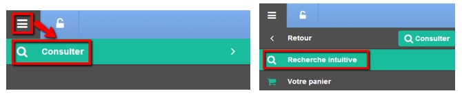 Formulaire recherche intuitive utilisateur non enregistre_image1