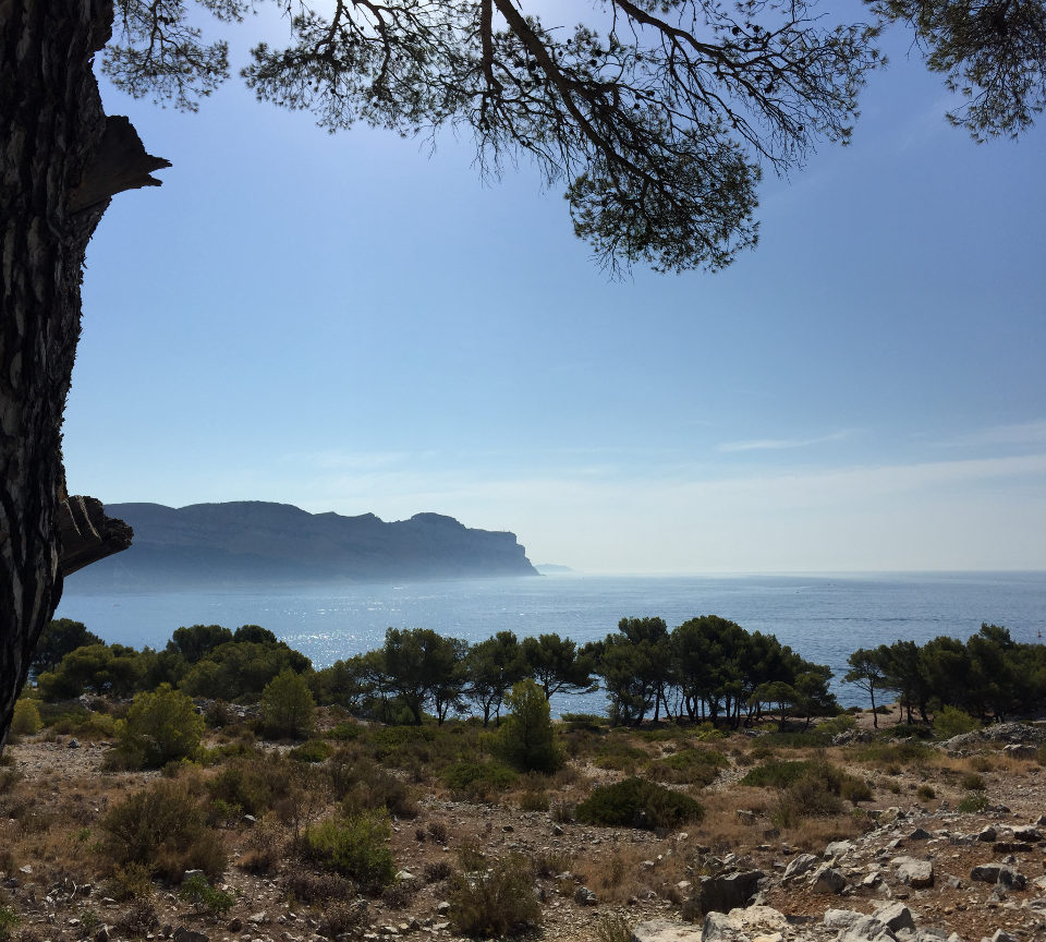 Vue Cap Canaille Cassis - Parc national des Calanques Vue Cap Canaille Cassis - Parc national des Calanques