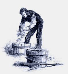 eraflage - vin de Cassis eraflage - vin de Cassis