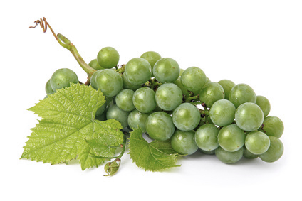 raisin blanc - vin de Cassis raisin blanc - vin de Cassis