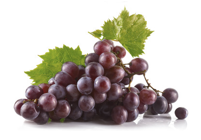 raisin rouge - vin de Cassis raisin rouge - vin de Cassis