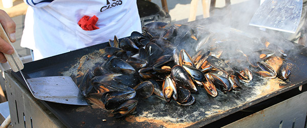 Cassis - vendanges étoilées Cassis - vendanges étoilées